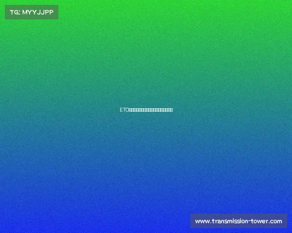 ETO电竞俱乐部：蓄势待发，再踏荣耀之巅巅