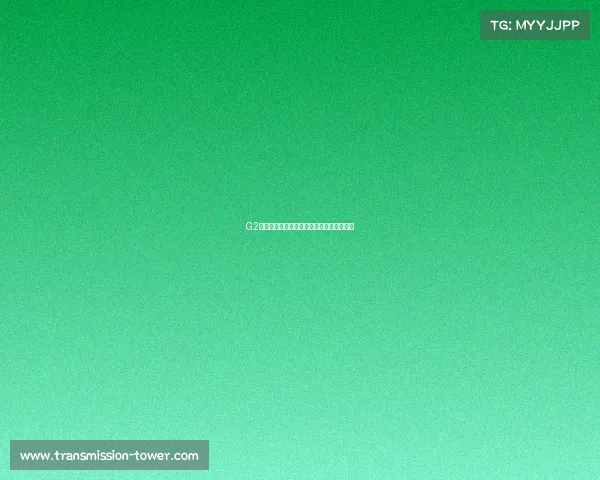 G2战队队服购买渠道一览:从官网到电商平台 G2战队队服购买渠道一览:从官网到电商平台