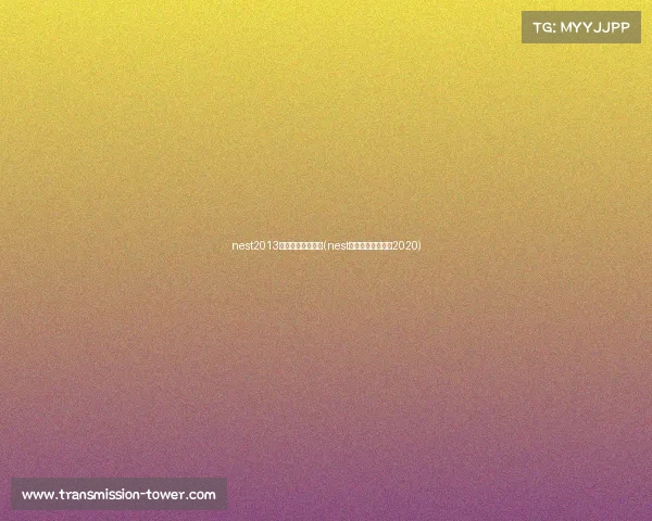 nest2013全国电子竞技大赛(nest全国电子竞技大赛2020)