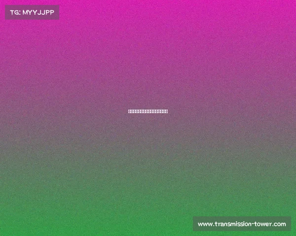 滔搏国际的电竞团队获得过哪些荣耀