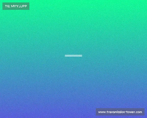 电子竞技刘教师—电子竞技老板